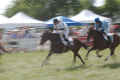 Horse Race #1